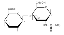 Acide hyalobiuronique.