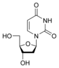 structure chimique de la désoxyuridine